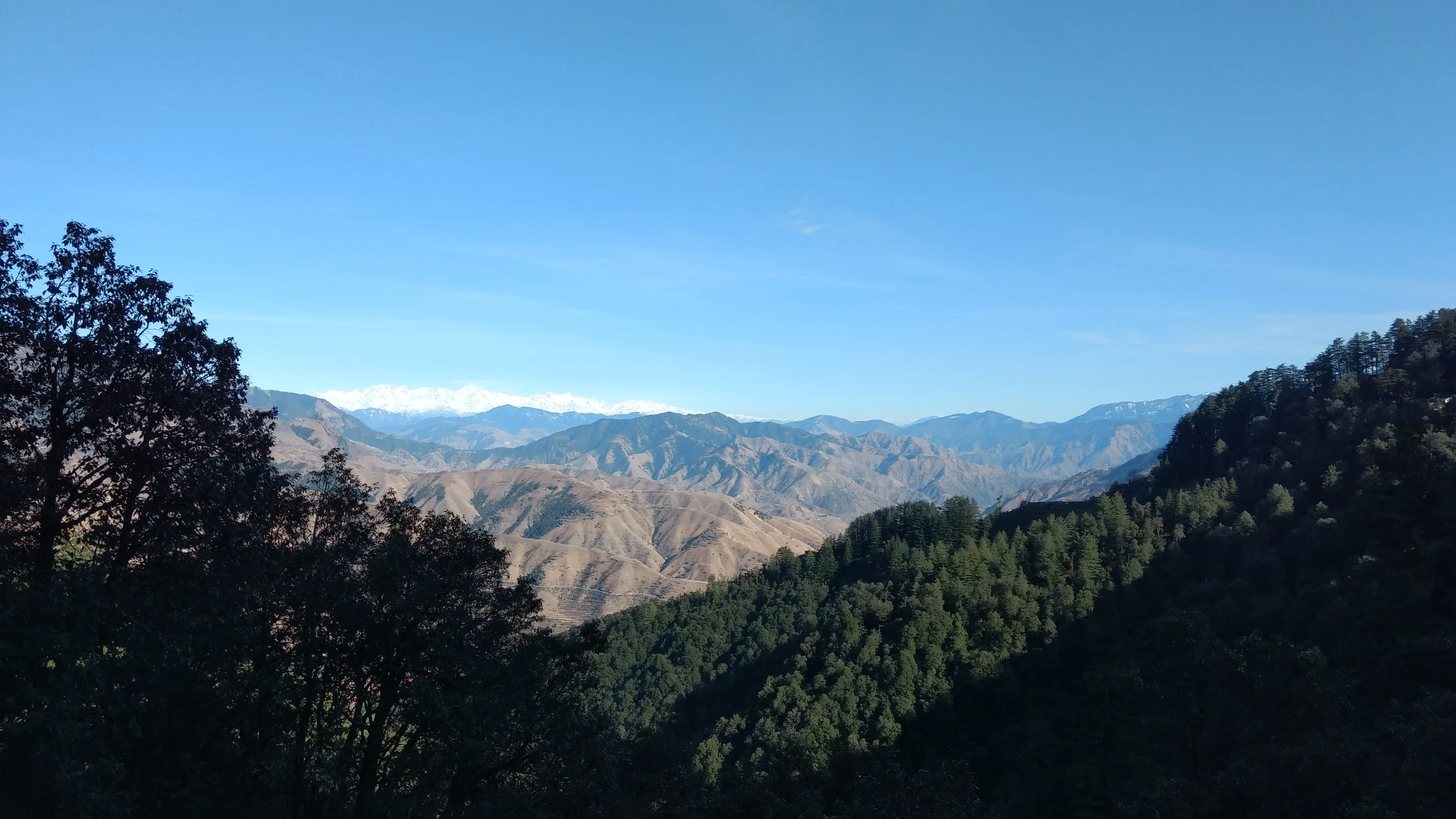 Wedding venue in Dehradun Photo of Wedding venue in Dehradun
