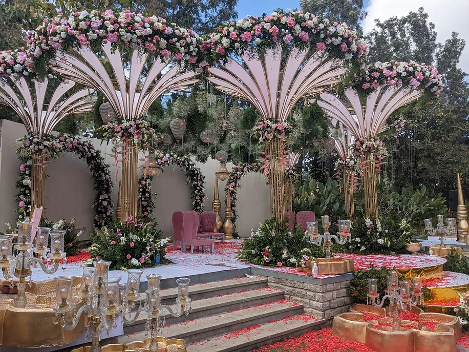 Blooming Flower Events Photo of Blooming Flower Events